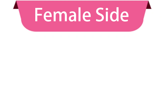Female Input Background